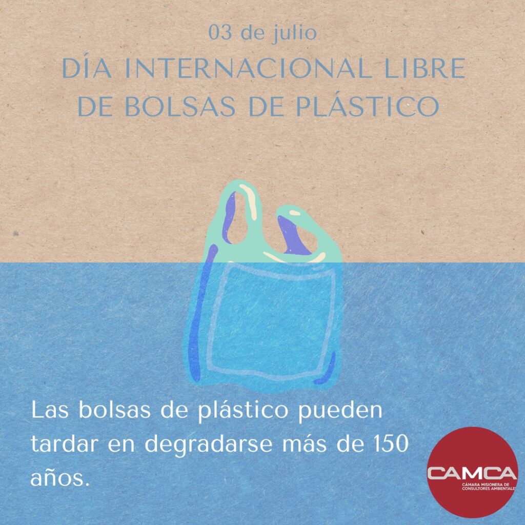 Dia internacional libre de bolsas de plastico